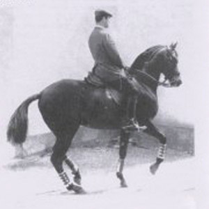 monta classica
